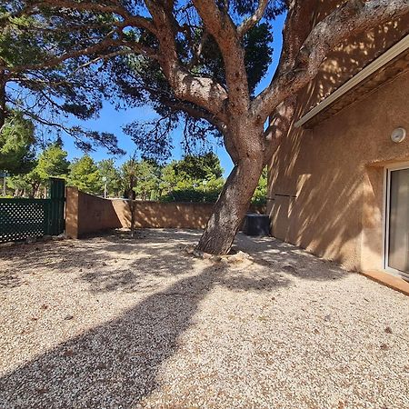 Paisible Maison A L'Ombre Des Pins Fitou 외부 사진